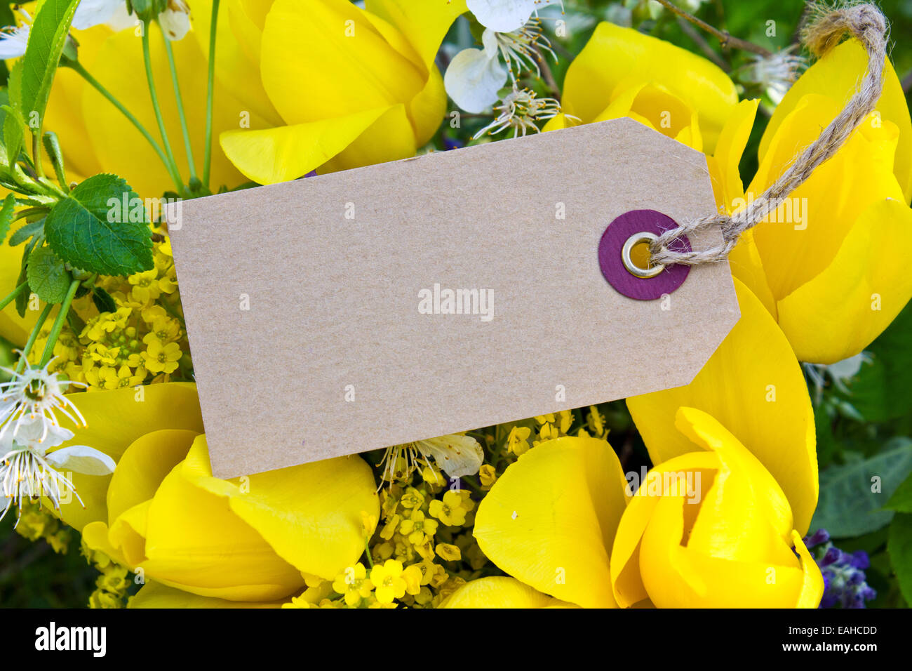 Bouquet mit gelben Tulpen und label Stockfoto