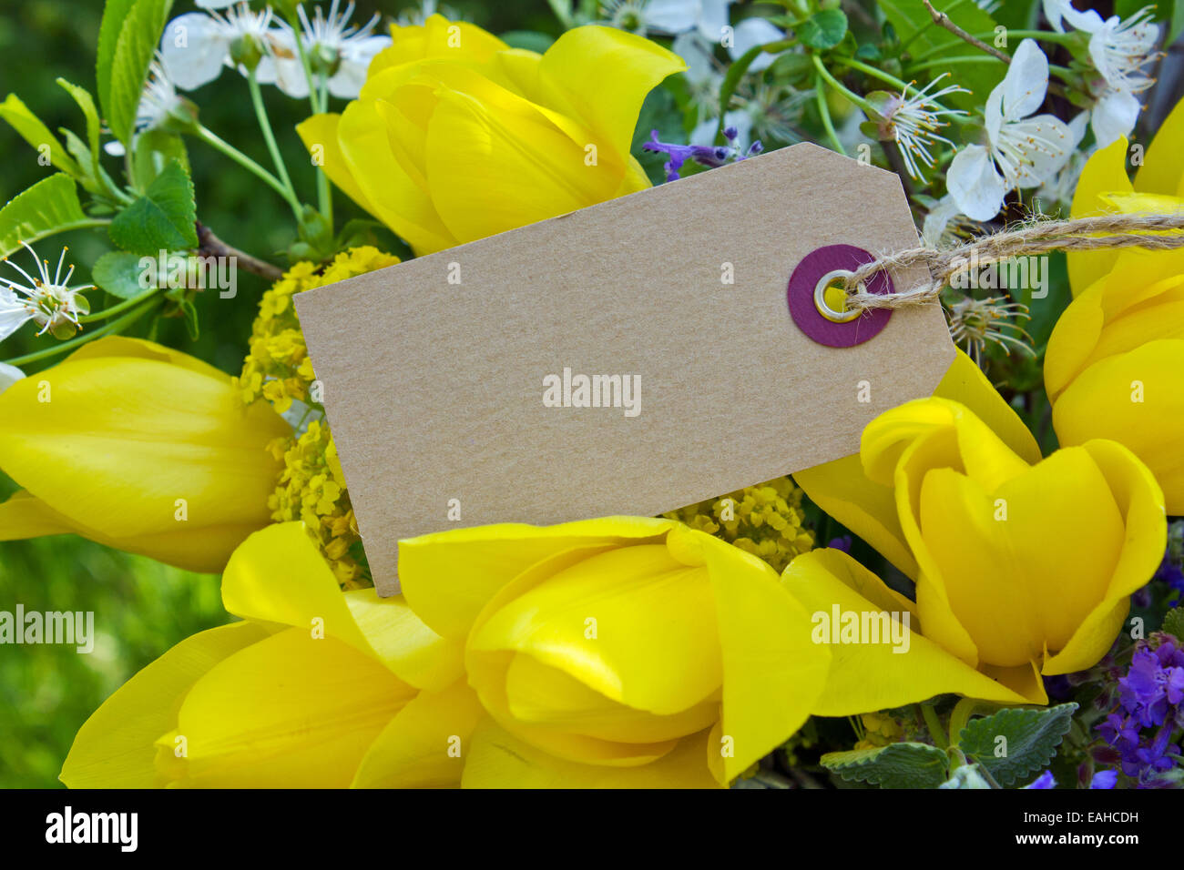 Bouquet mit gelben Tulpen und label Stockfoto