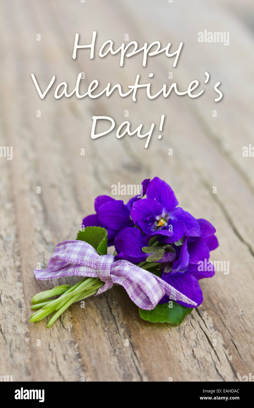 Grußkarte mit Veilchen und englischem Text: Happy Valentine's Day. (Alles gute zum Valentinstag. Stockfoto