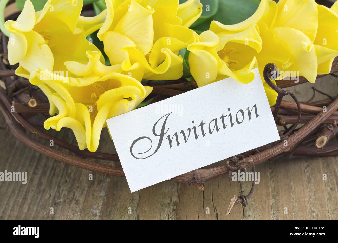 Einladungskarte mit gelben Tulpen Stockfoto