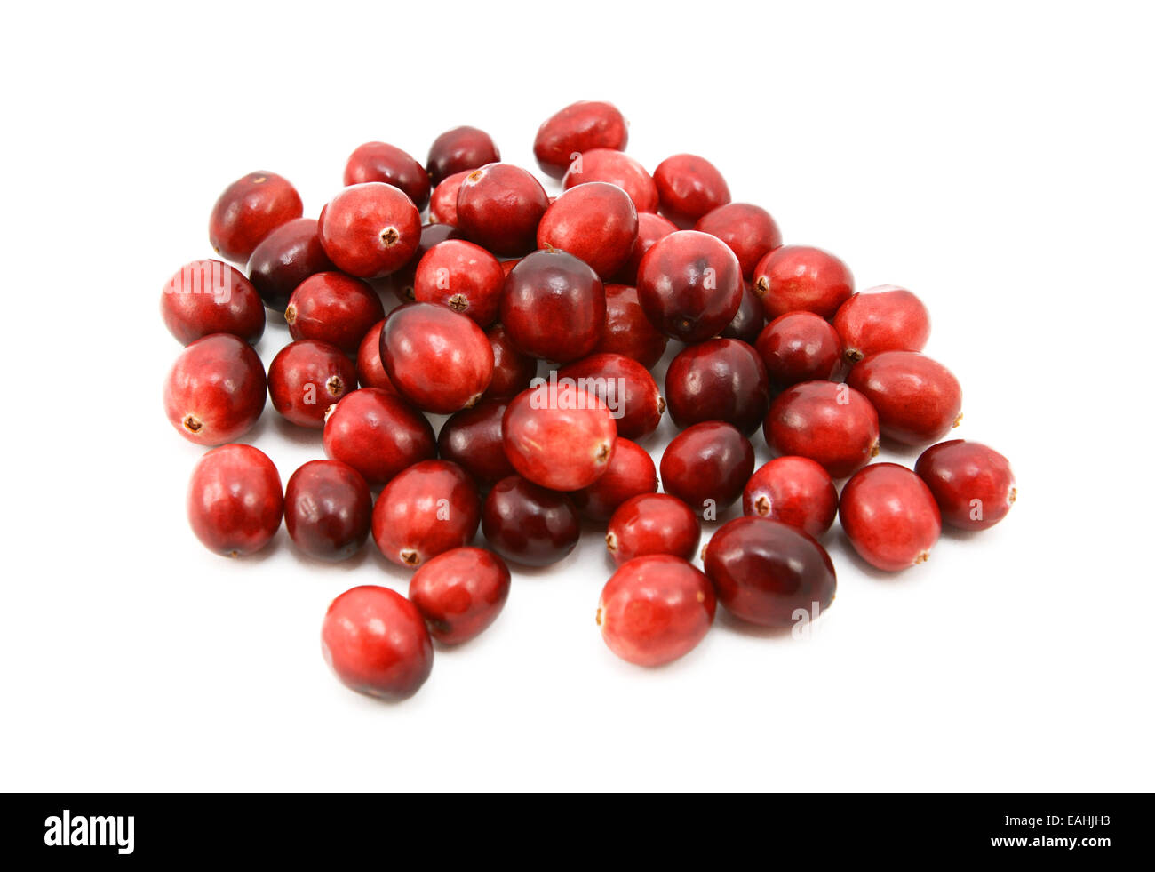 Ganz frische Cranberries, isoliert auf weißem Hintergrund Stockfoto