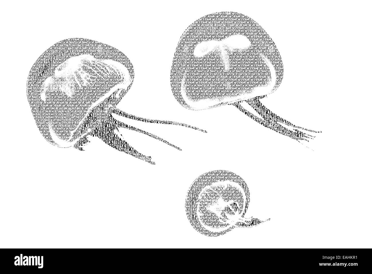 Wort Quallen gemischt, um die Abbildung von Quallen mit Typografie Stil, isoliert auf weißem Hintergrund werden Stockfoto