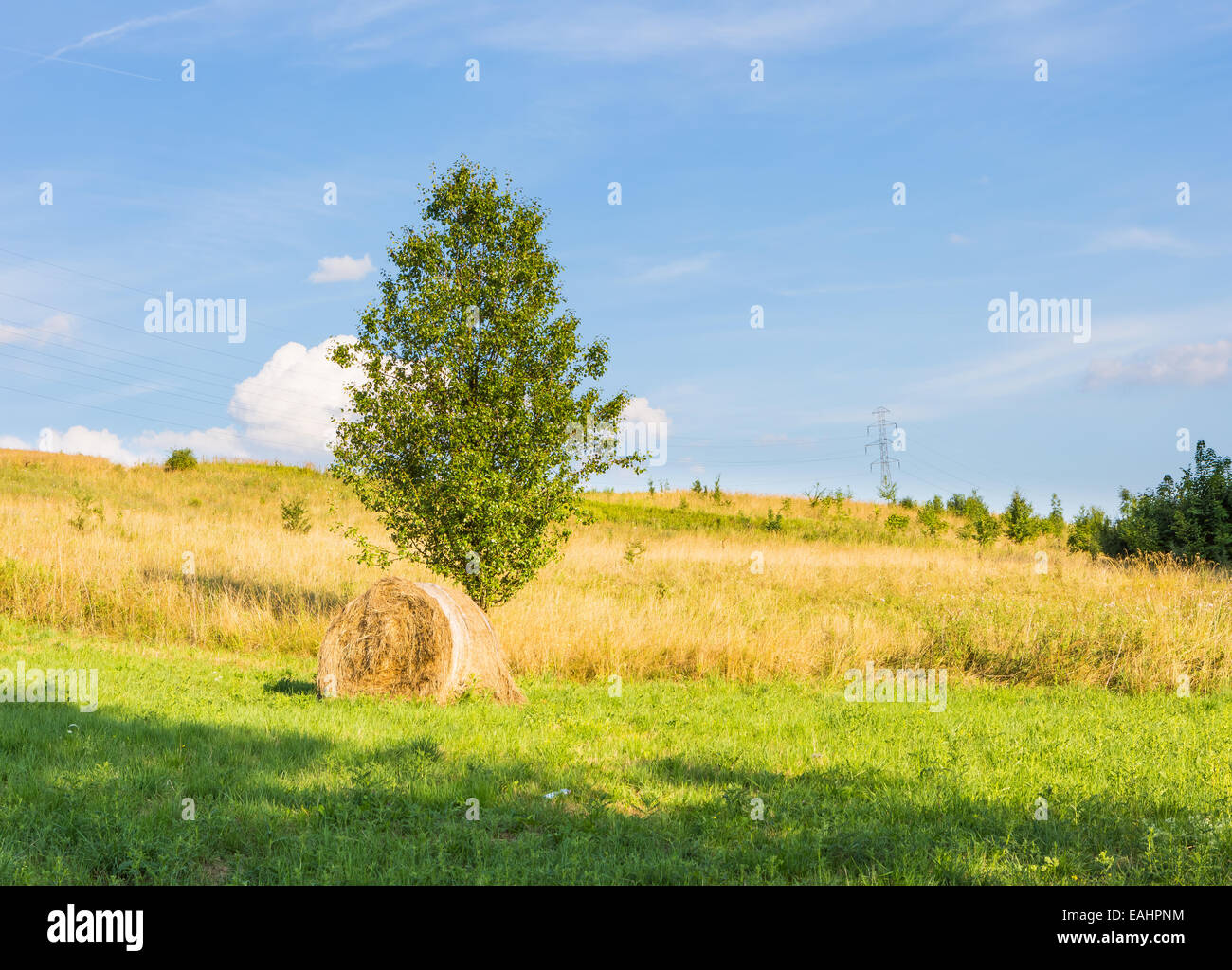 Heuballen auf Wiese, Landschaft Stockfoto
