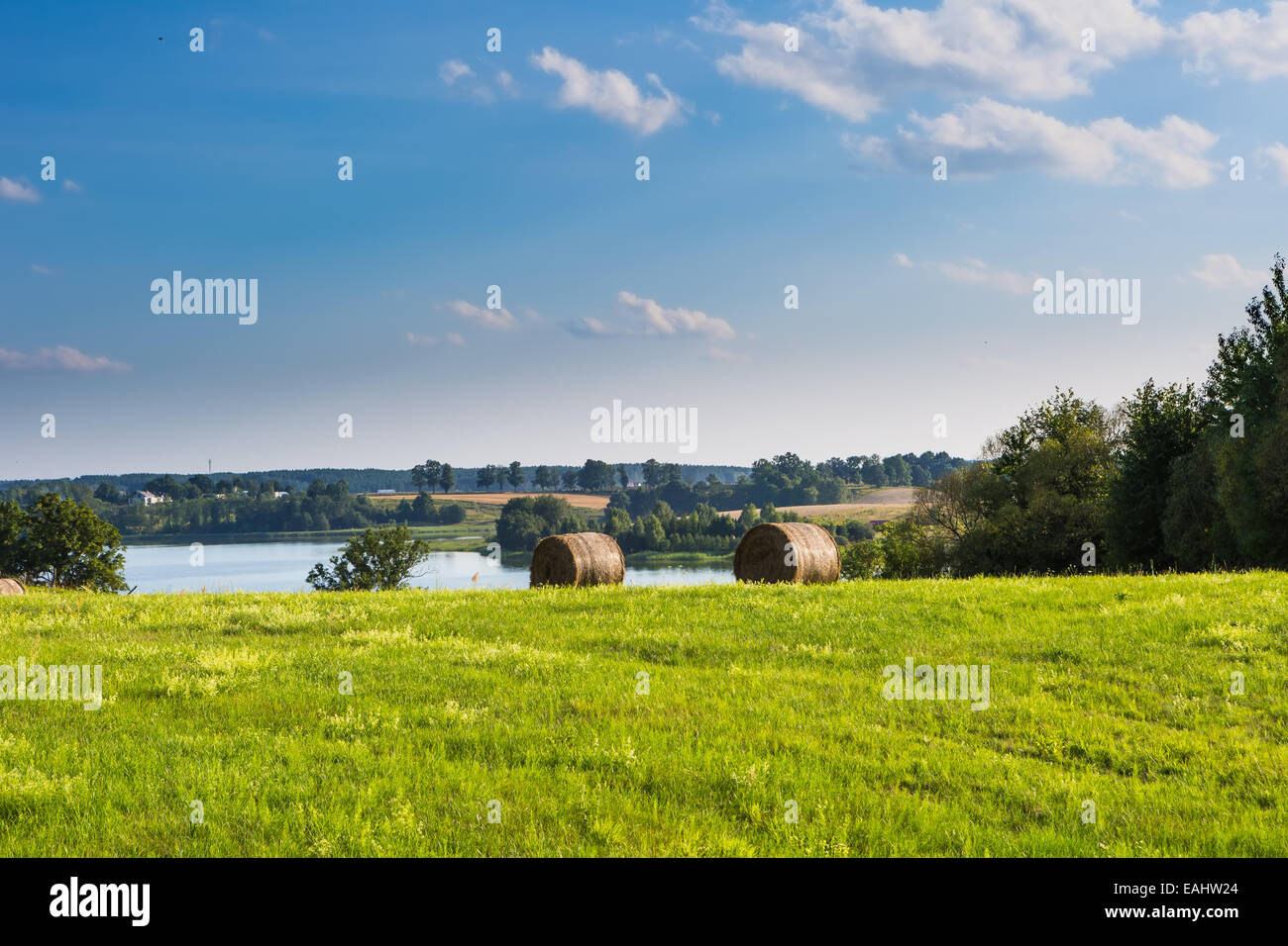 Heuballen auf Wiese, Landschaft Stockfoto