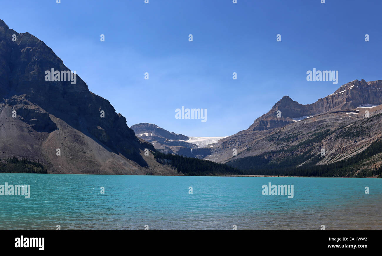 Bow Lake und Gletscher Stockfoto