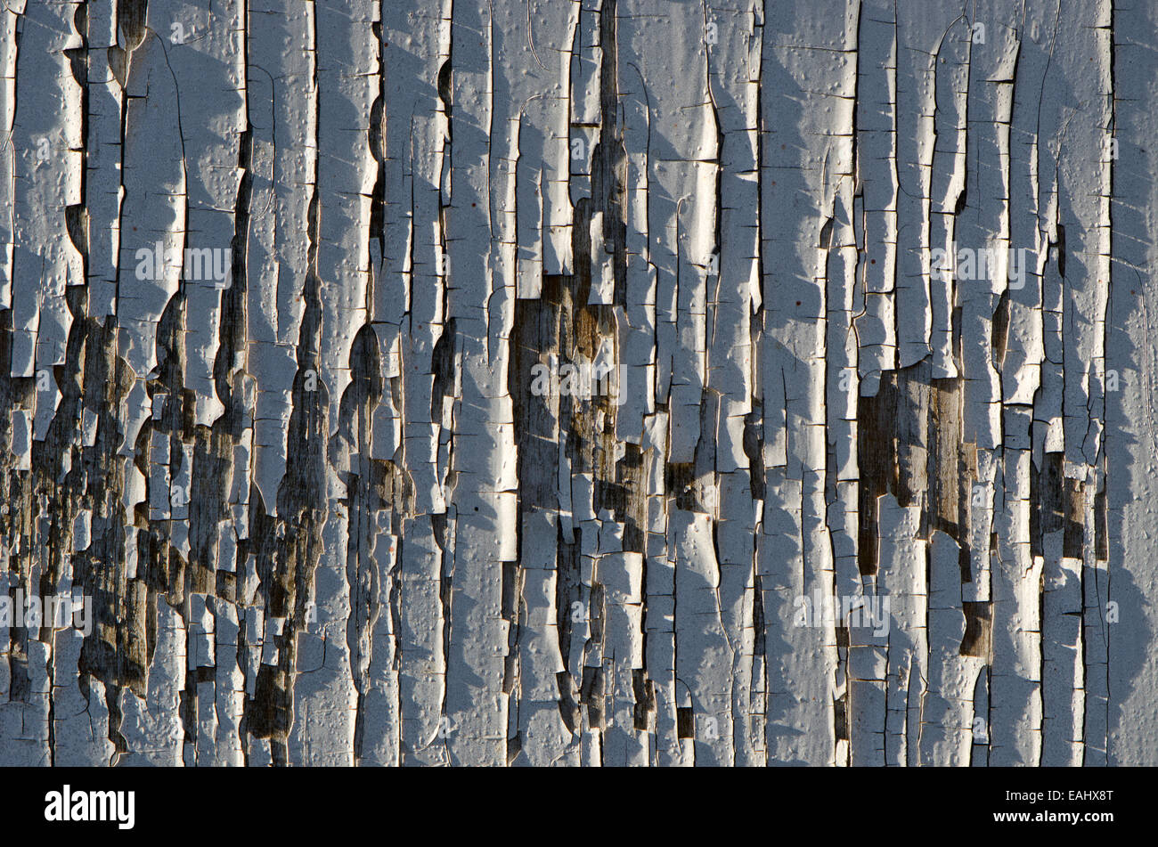 Hintergrundtextur von gerissenen Weißlack auf Holzuntergrund Stockfoto