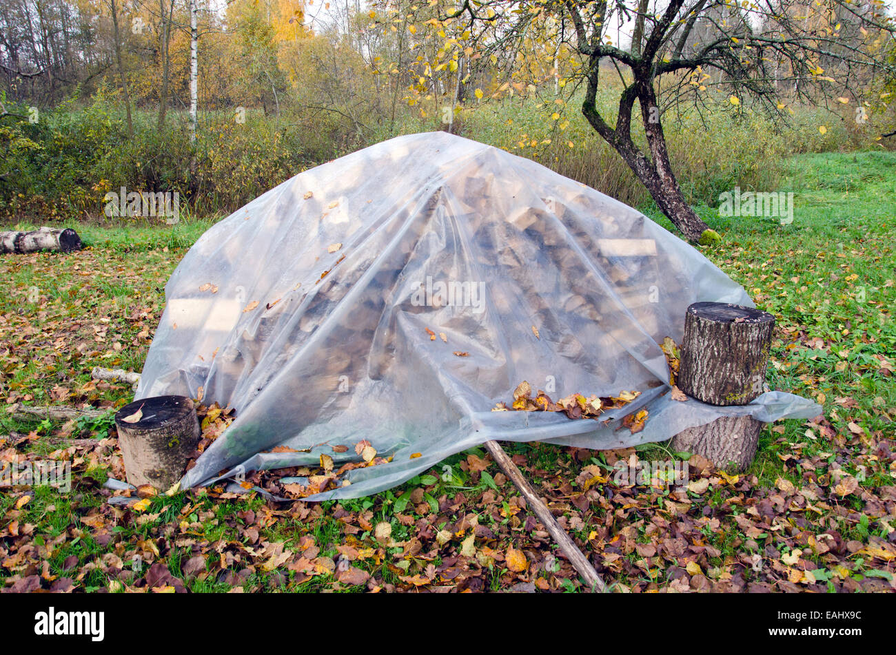 Brennholz-Stapel in regnerischen Herbst Zeit Bauerngarten Stockfoto