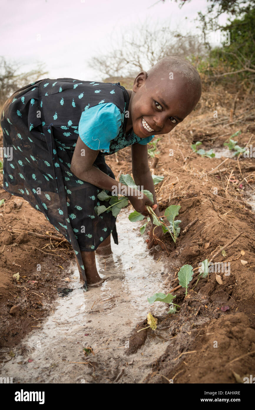 Eine Mädchen-Transplantationen Sämlinge auf ihr Gemüse Dorfleben in Makueni County, Kenia, Ostafrika. Stockfoto