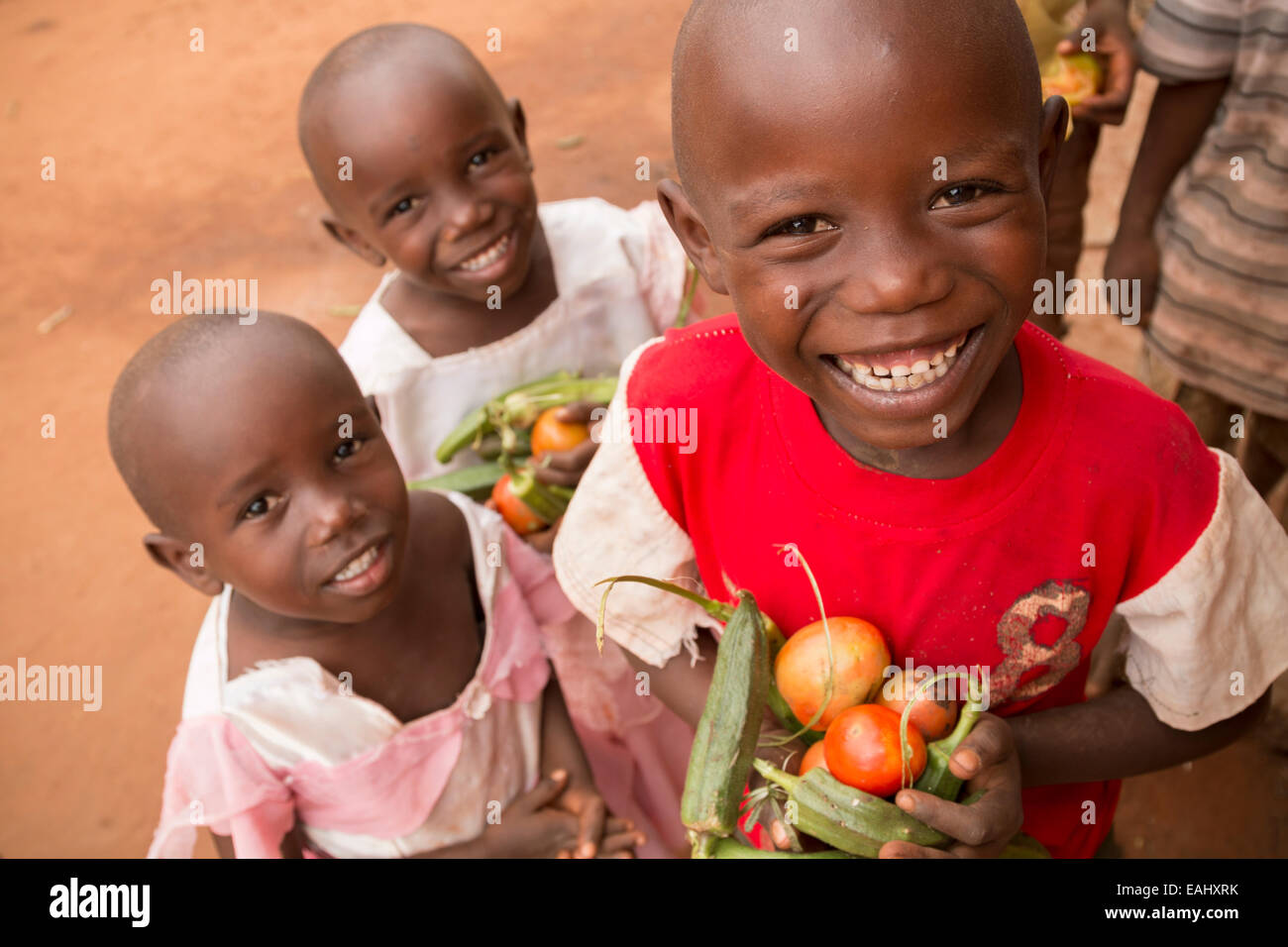 Kinder halten Sie frisch geerntete Gemüse in Makueni County, Kenia, Ostafrika. Stockfoto