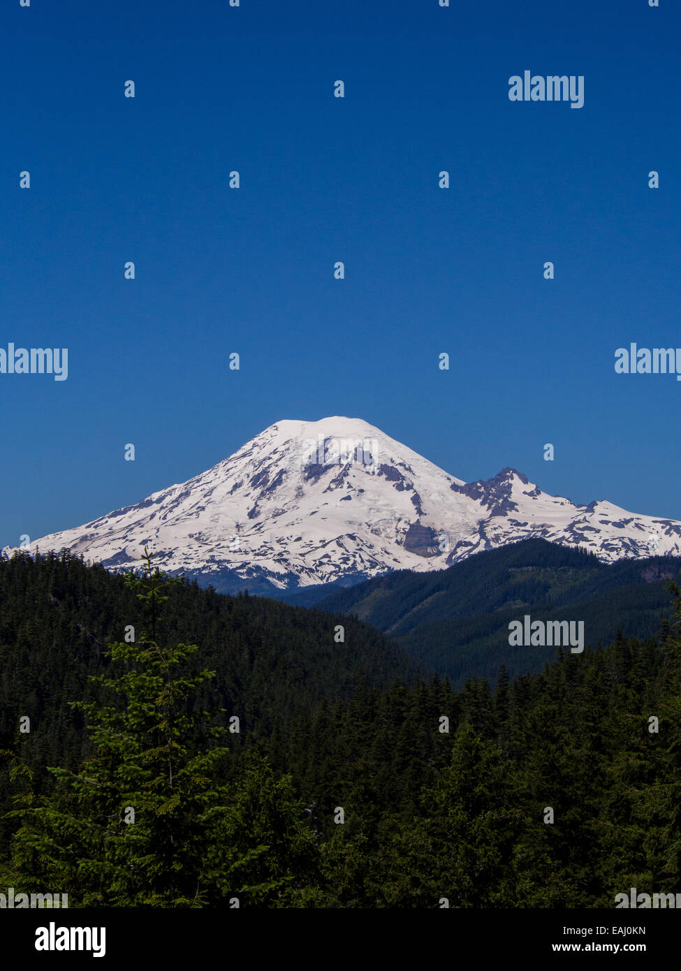 Mt Rainier snowcap Stockfoto