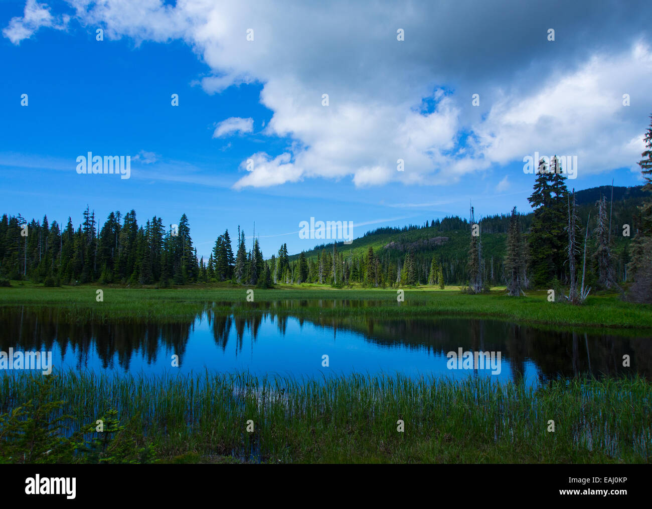 Alpensee Stockfoto