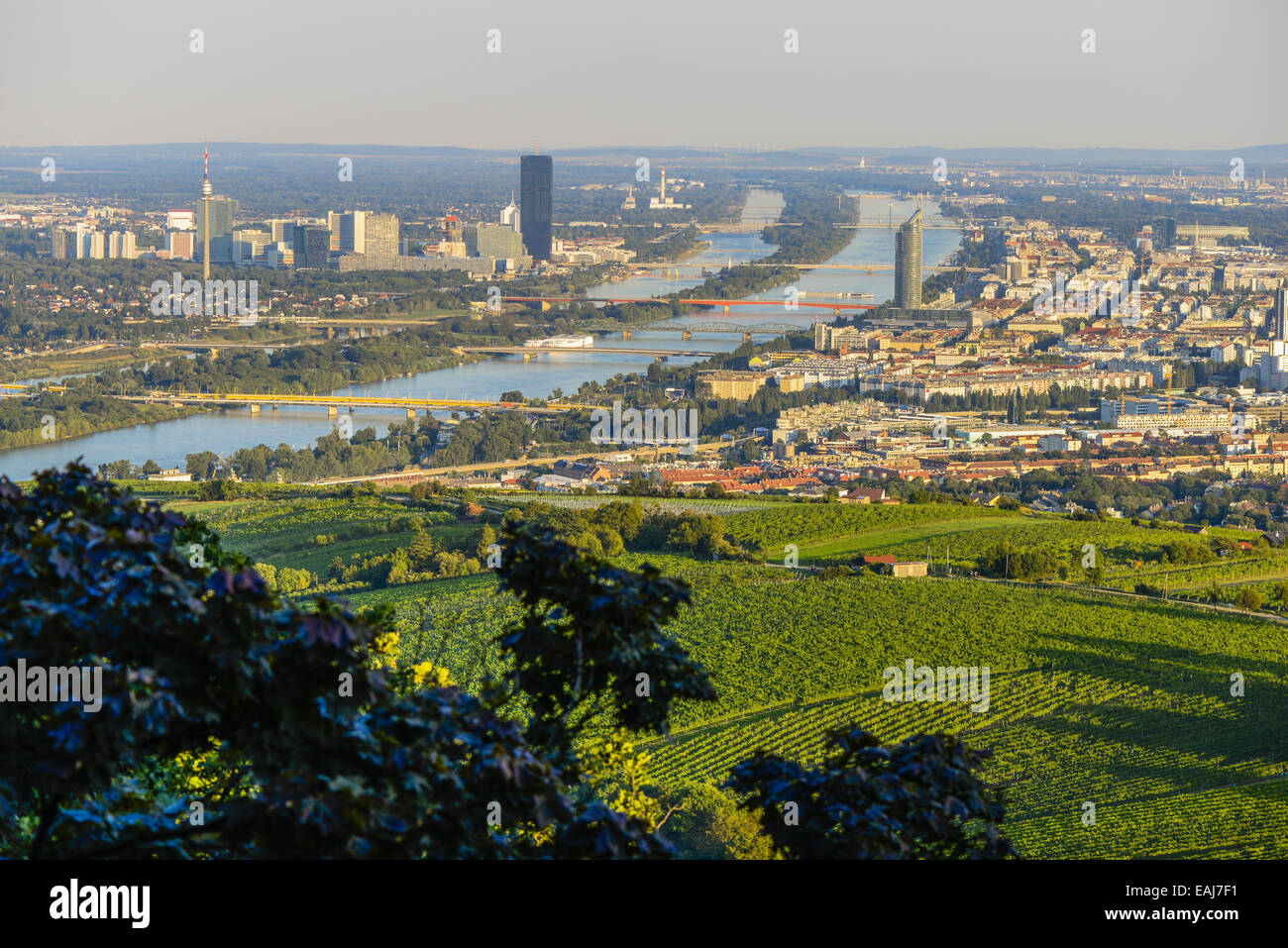Wien, Blick vom Berg Kahlenberg, Wien, Österreich, Mitteleuropa, 19. Bezirk, Kahlenberg Stockfoto Wien, Blick vom Berg Kahlenberg, Wien, Österreich, Mitteleuropa, 19. Bezirk, Kahlenberg Stockfoto