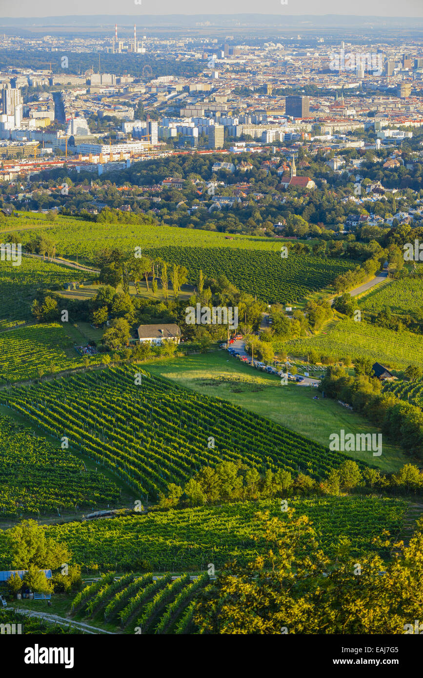 Wien, Blick vom Berg Kahlenberg, Wien, Österreich, Mitteleuropa, 19. Bezirk,  Kahlenberg Stockfotografie - Alamy