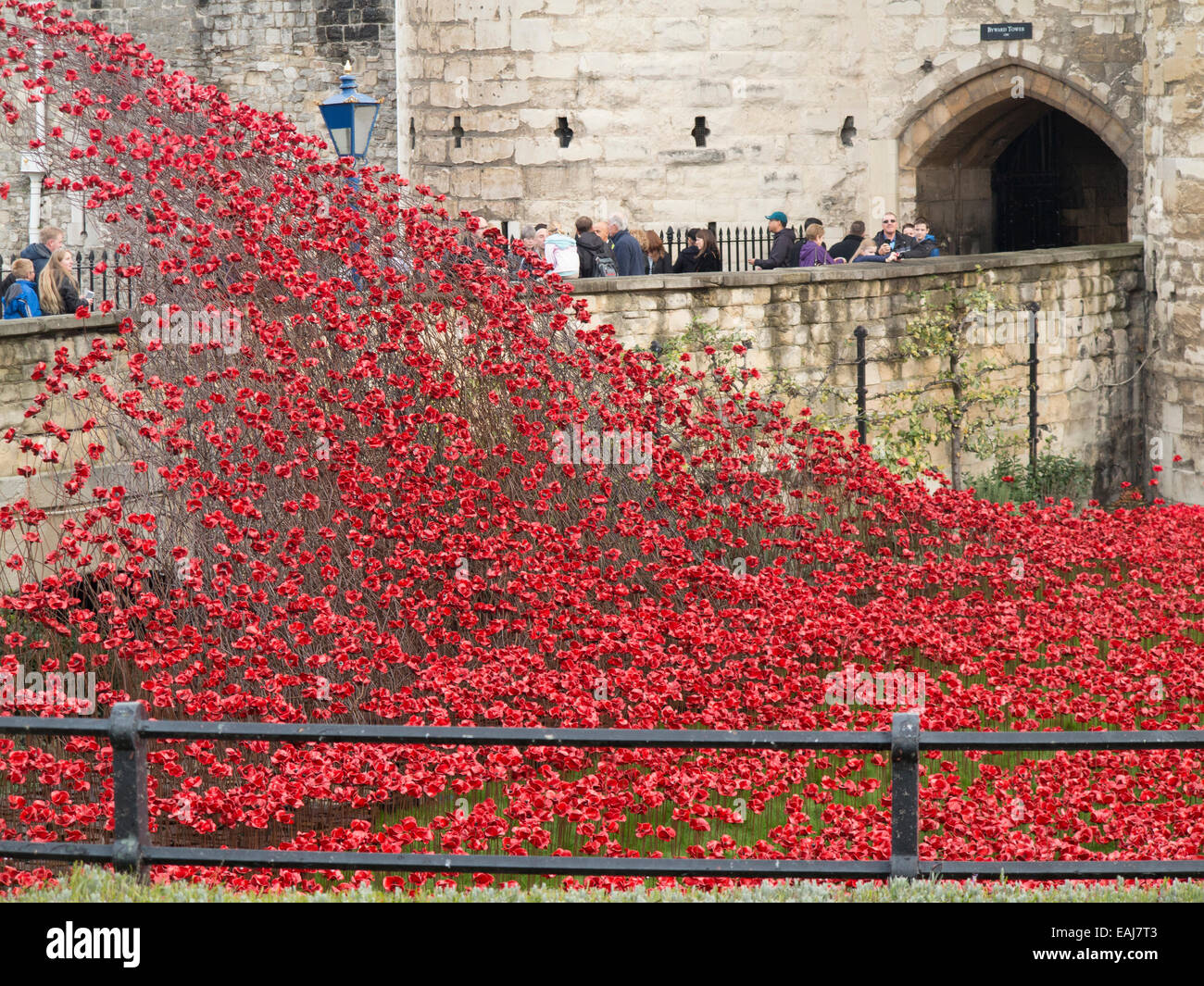 Letzten Tage des Tower of London Mohn Stockfoto