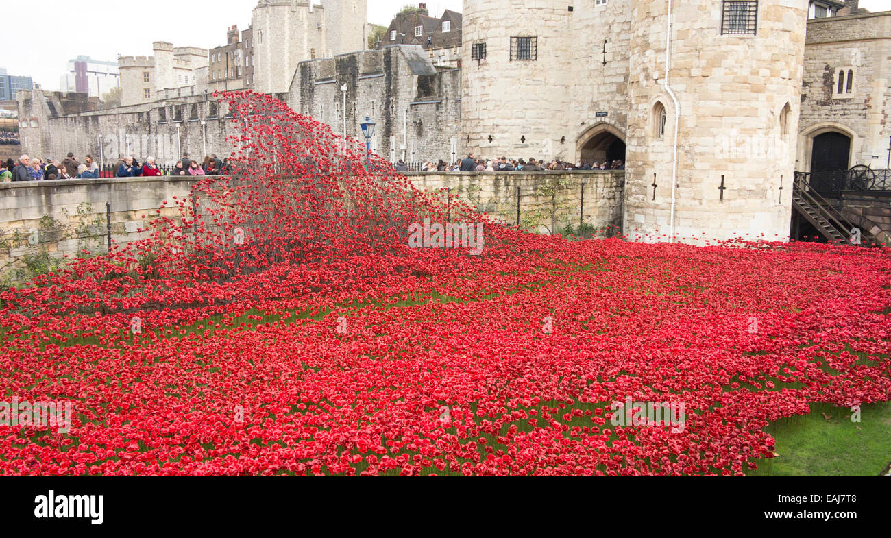 Letzten Tage des Tower of London Mohn Stockfoto