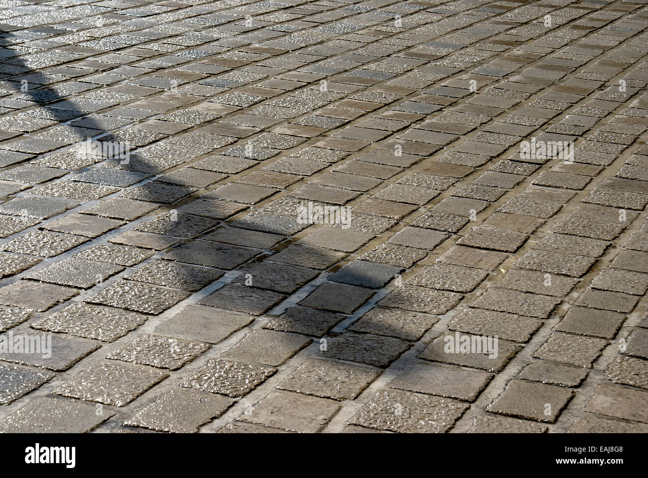 Diagonale Schatten einer Laterne auf nasser Fahrbahn Stockfoto