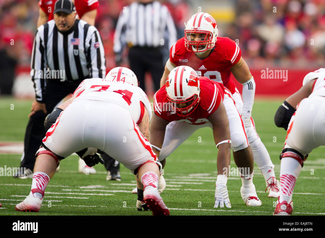 15. November 2014: Wisconsin Badgers Linebacker Marcus Trotter #59 überblickt das Nebraska Vergehen vor dem Snap während der NCAA Football-Spiel zwischen die Nebraska Cornhuskers und die Wisconsin Badgers im Camp Randall Stadium in Madison, Wisconsin. Wisconsin besiegte Nebraska 59-24. John Fisher/CSM Stockfoto