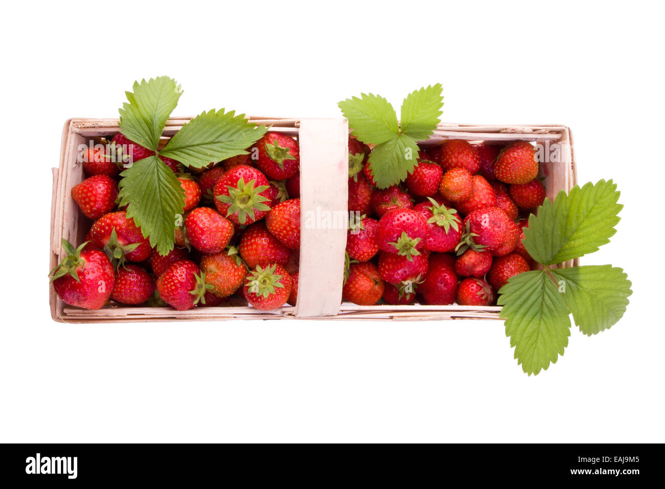Frische saftige Erdbeeren in hölzernen Korb isoliert Stockfoto