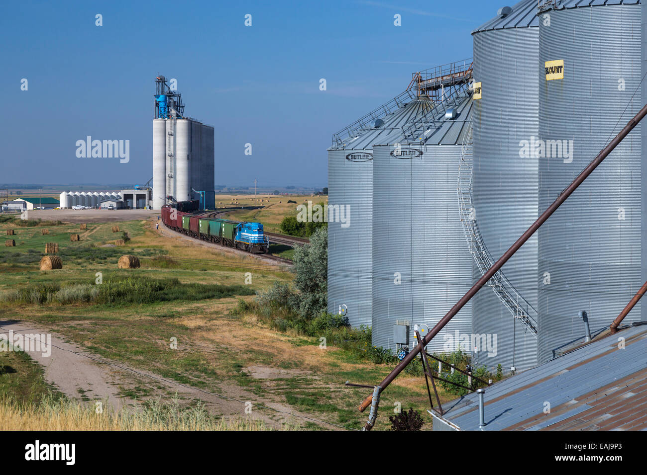Ein Korn, Umgang mit Zug an der Sterling North Dakota, USA. Stockfoto