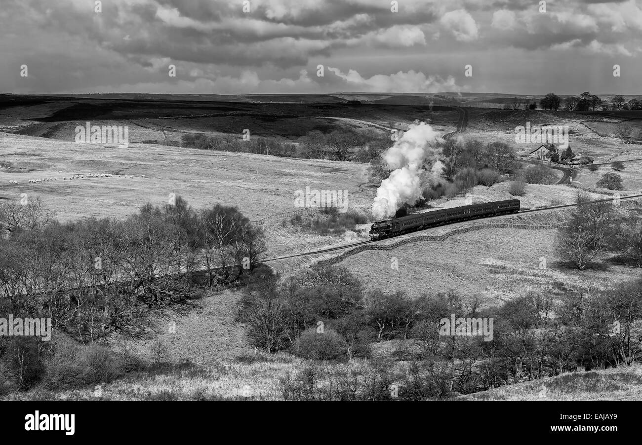 Vintage Dampfzug der North Yorkshire Moors Dampfeisenbahn durchschneidet die North York Moors in der Nähe von Goathland, Yorkshire, Großbritannien. Stockfoto
