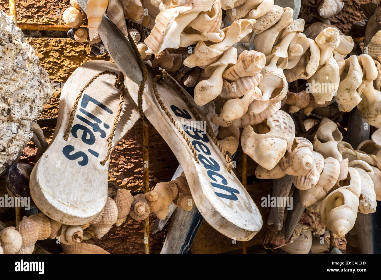 Dekorationen aus dem Meer und Strand auf angezeigt an der Wand eines Strandhauses. Stockfoto