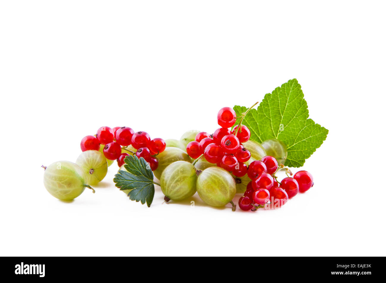 Johannisbeere Stachelbeere Stockfotos und bilder Kaufen Alamy