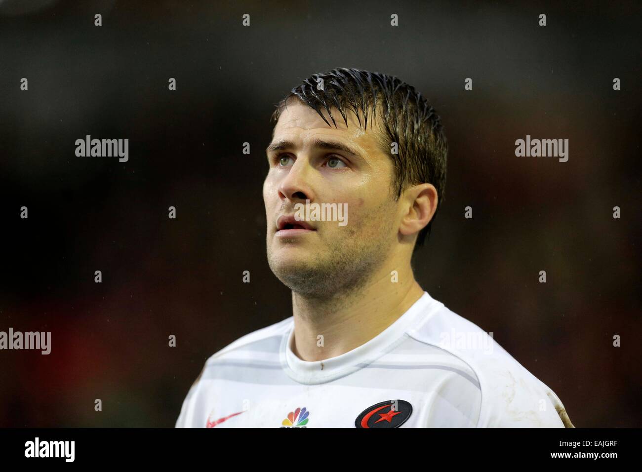 Leicester, UK. 16. November 2014. Richard Wigglesworth Sarazenen - Rugby Union - Aviva Premiership - Leicester Tigers Vs Sarazenen - Saison 2014/15 16. November 2014 - Foto Malcolm Couzens/Sportimage. Bildnachweis: Csm/Alamy Live-Nachrichten Stockfoto