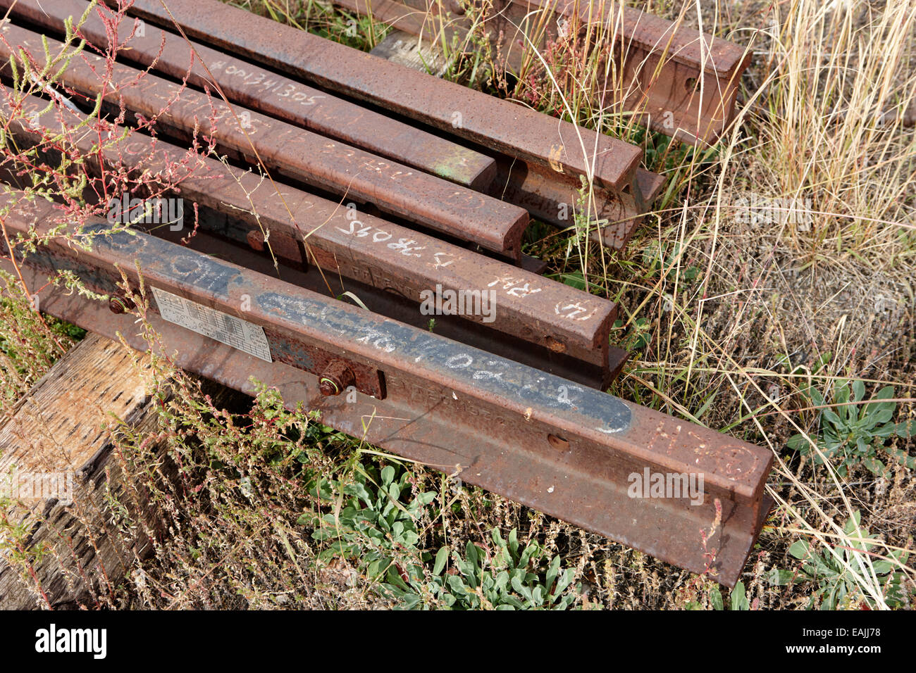 freie Bahn-Schienen in einer Eisenbahn Hof Saskatchewan Kanada Stockfoto