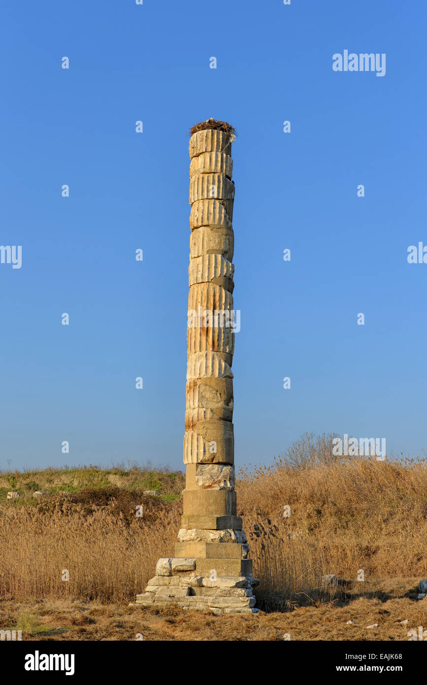 Tempel der Artemis n Ephesus, Türkei Stockfoto