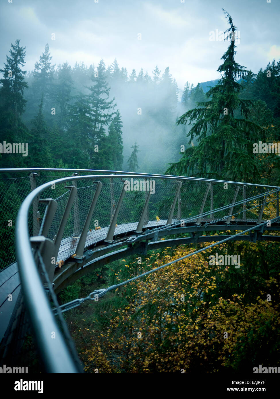 Ein Blick auf den Cliffwalk Attraktion am Capilano Suspension Bridge Park in North Vancouver, British Columbia, Kanada. Stockfoto