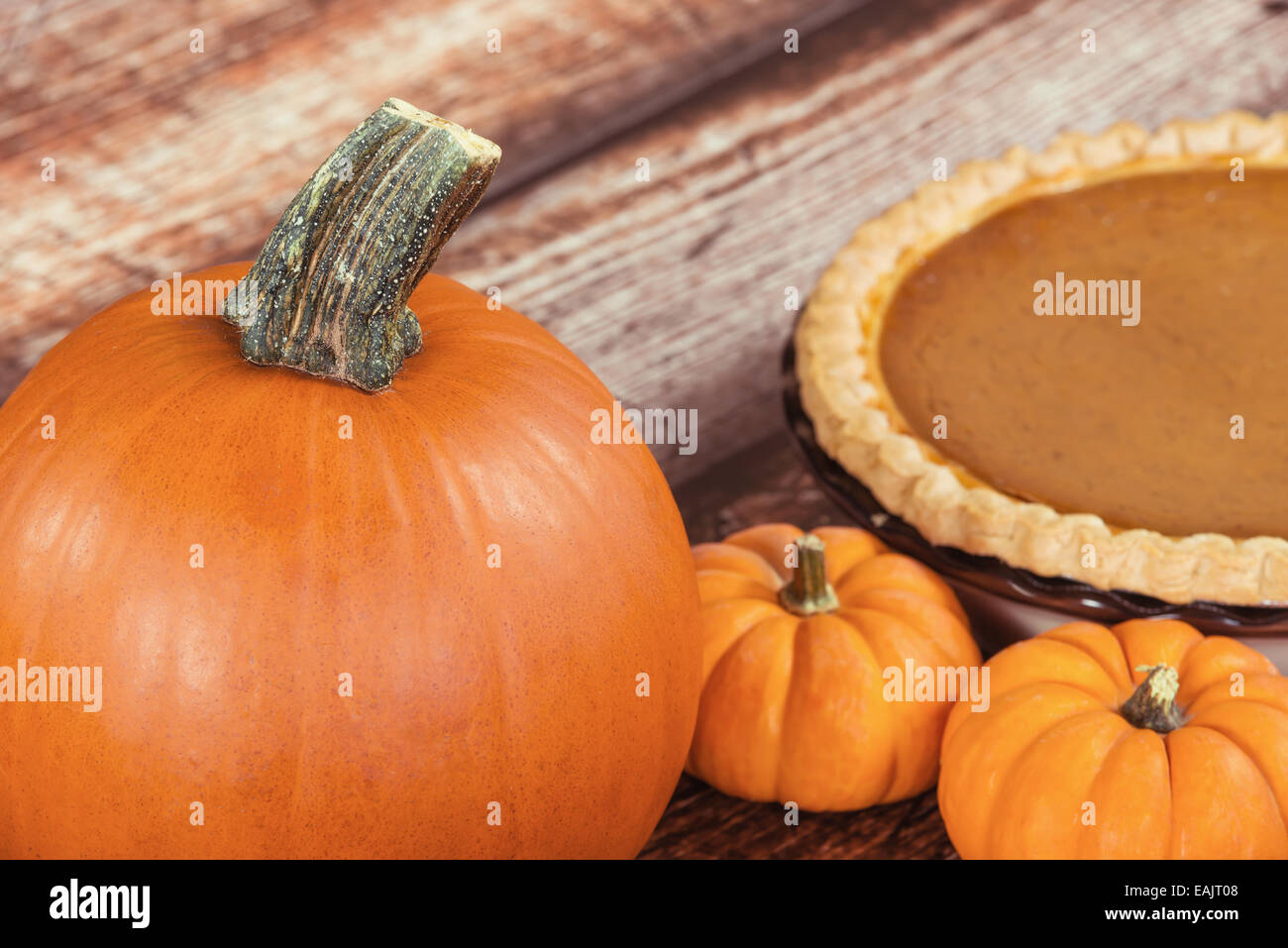 Nahaufnahme von Pumpkin Pie. Mini-Kürbisse und eine Torte auf dem Hintergrund auf Holztisch Stockfoto