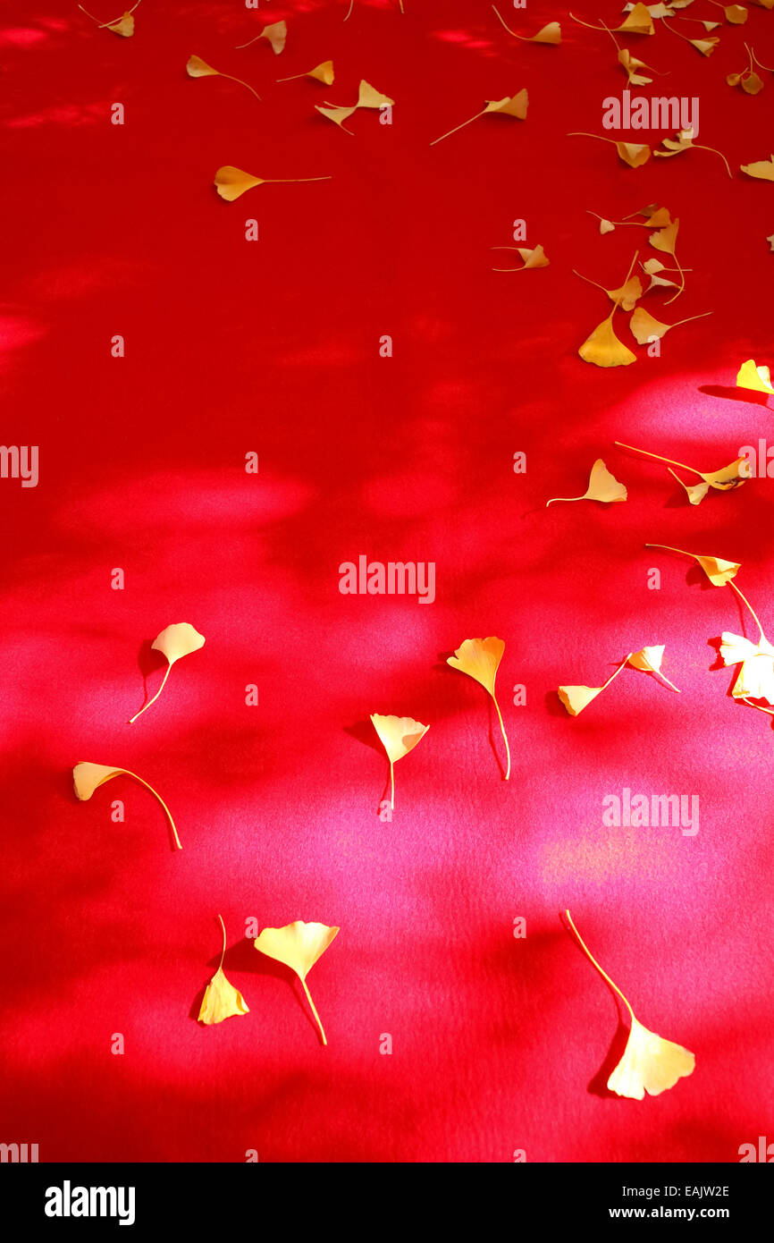 Hintergrund der Herbstblätter auf rotem Stoff Stockfoto