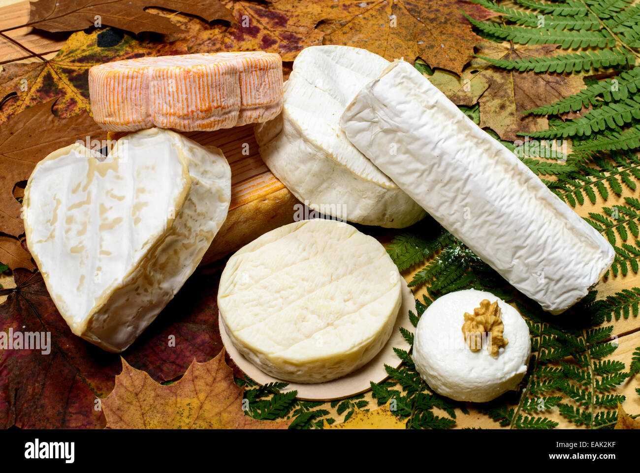 Französische Käsesorten platziert auf À Holztisch mit Herbstlaub Stockfoto