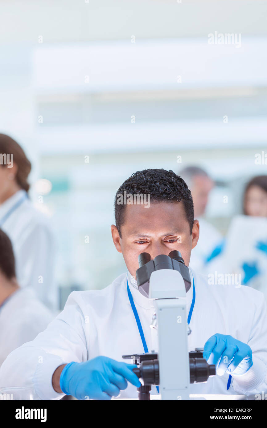 Wissenschaftler untersuchen Probe unter dem Mikroskop im Labor Stockfoto