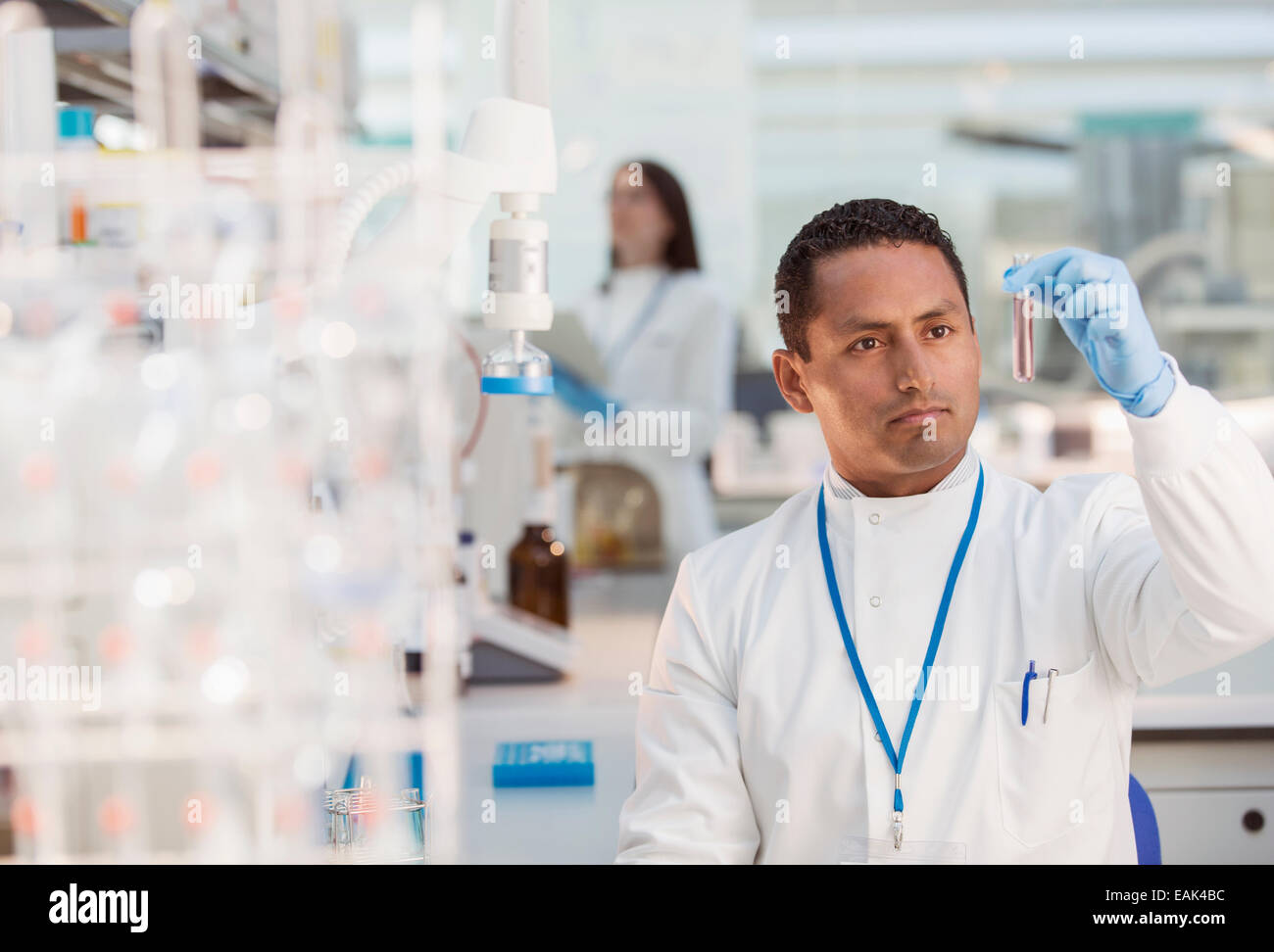 Wissenschaftler untersuchen Probe im Reagenzglas im Labor Stockfoto