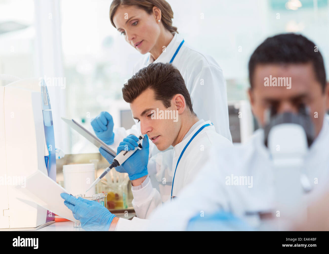 Wissenschaftler Pipettieren Probe im Labor Stockfoto