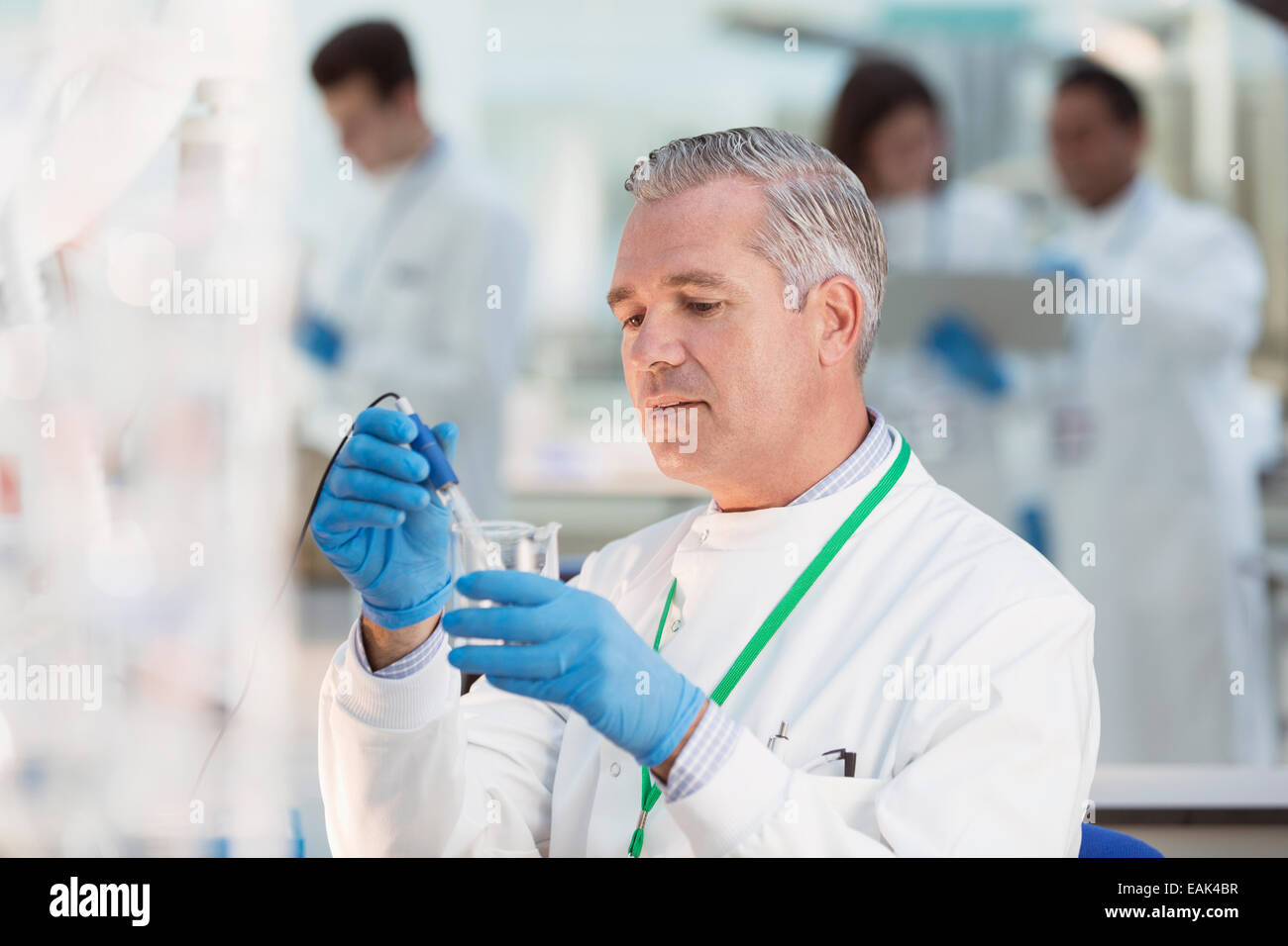 Wissenschaftler untersuchen Probe im Becherglas im Labor Stockfoto