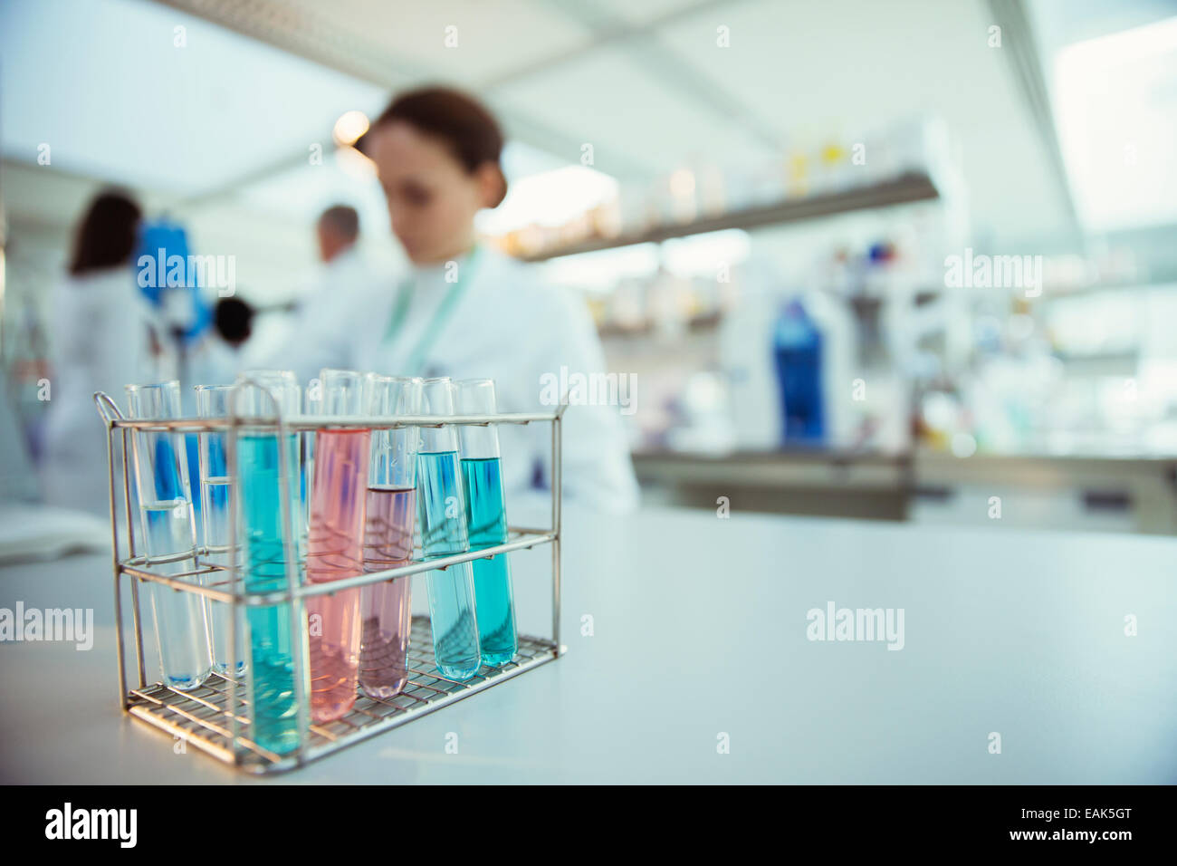 Nahaufnahme von Reagenzgläsern im Rack im Labor Stockfoto