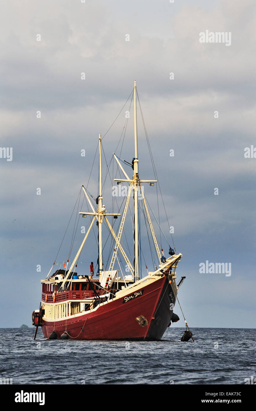 Taucher Schiff "Seven Seas Tauchsafari", Raja Ampat, West-Papua, Indonesien Stockfoto