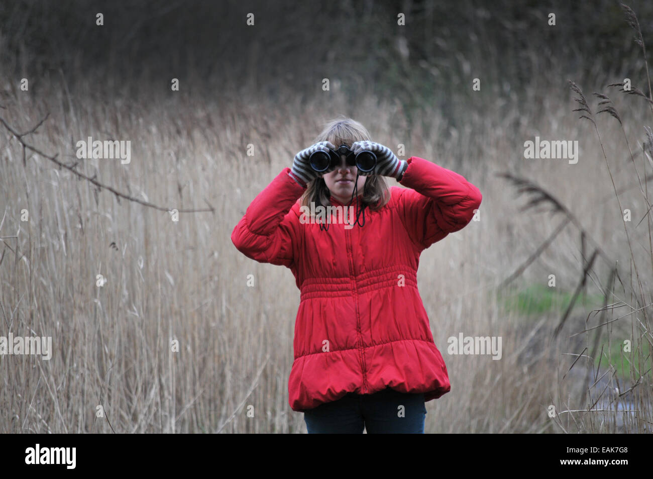 Ein 12 Jahre altes Mädchen auf der Suche nach Vögel durch ein Fernglas Stockfoto
