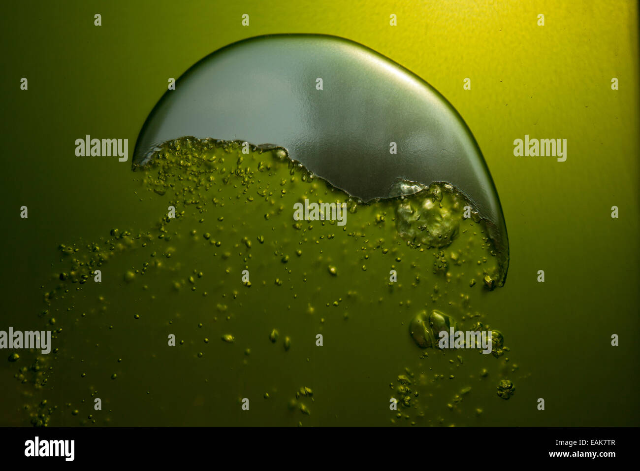 Aufsteigenden Luftblasen, Algenhaus, Algen-Haus, Internationale Bauausstellung, IBA Hamburg, Wilhelmsburg, Hamburg, Hamburg Stockfoto