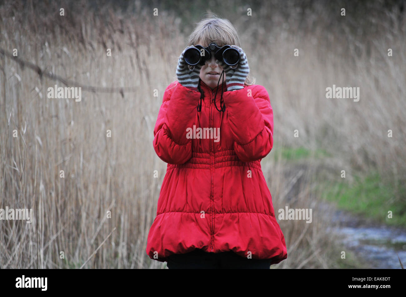 Ein 12 Jahre altes Mädchen auf der Suche nach Vögel durch ein Fernglas Stockfoto