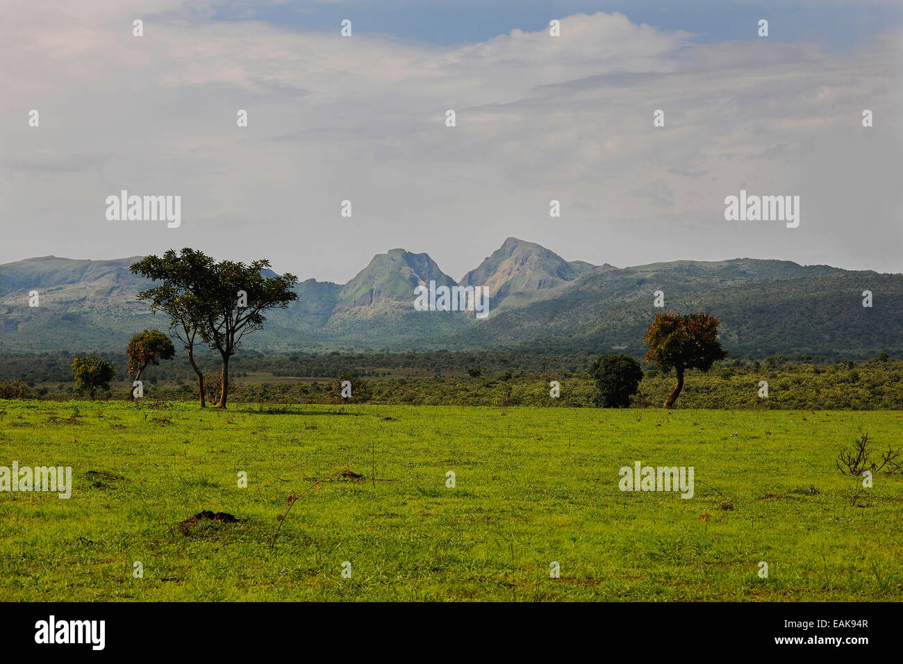 Landschaft des zentralen Kamerun, Adamawa Region, Kamerun Stockfoto
