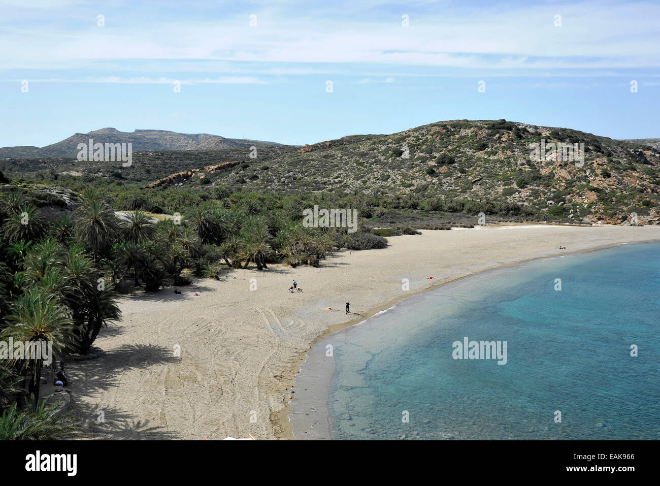Palme Strand von Vai mit kretischen Dattelpalmen (Phoenix Theophrasti), Palmenstrand von Vai, Kreta, Griechenland Stockfoto