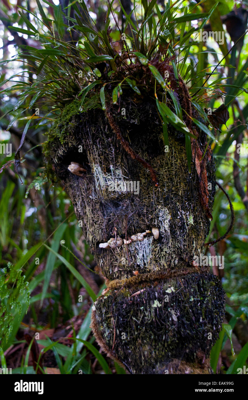 Holzmaske, Hochland, Papua-Neu-Guinea Stockfoto