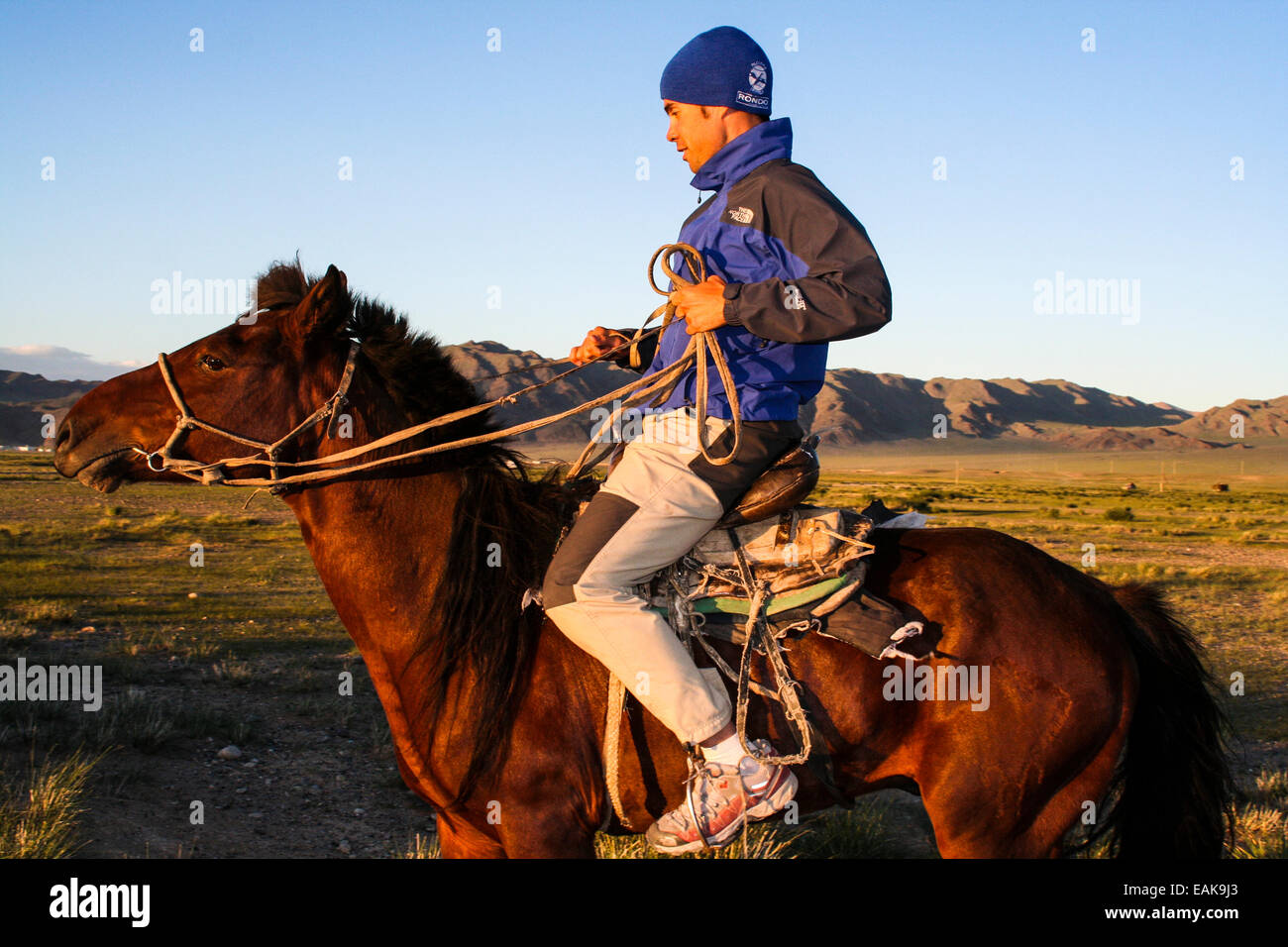 Mann auf einem Pferd in der Mongolei Stockfoto