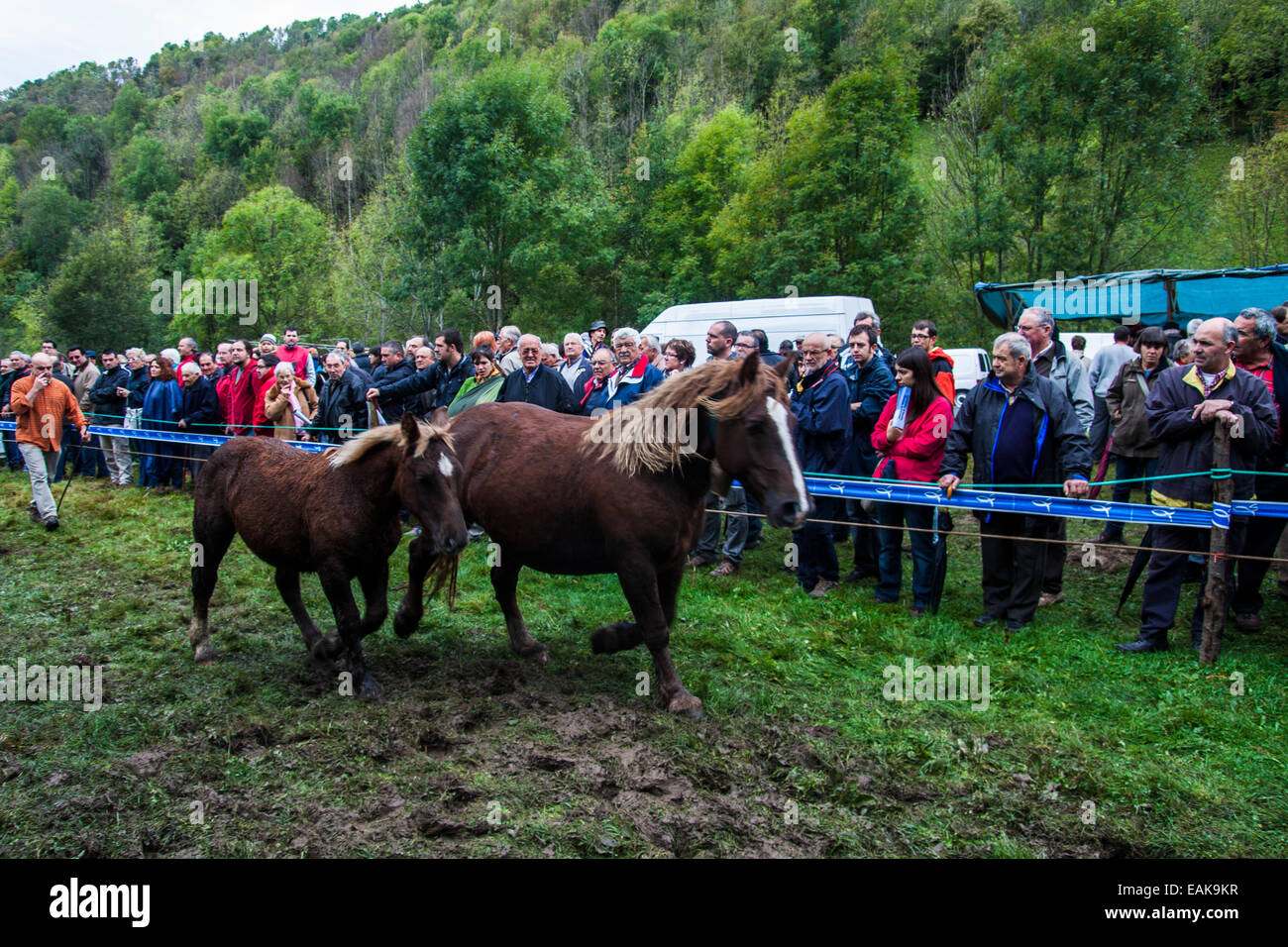Pferdeausstellung in Espinavell (Pyrenäen), die Pferde zu bringen, die in den Bergen Weiden wurden jeden 13. Oktober statt Stockfoto