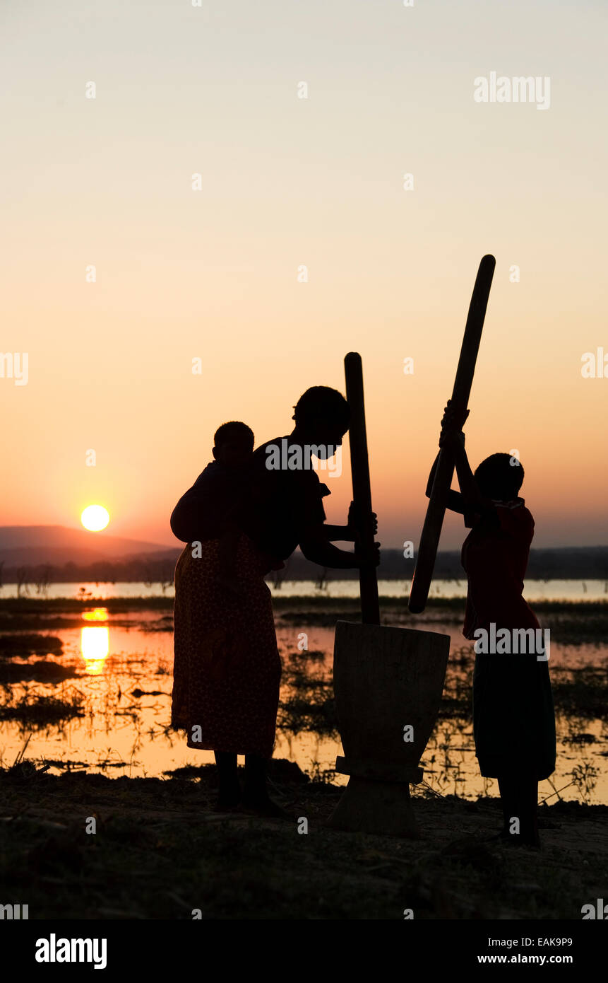 Tongan Frauen in hämmerte Korn am Ufer des Lake Kariba, bei Sonnenuntergang, Sambia Stockfoto