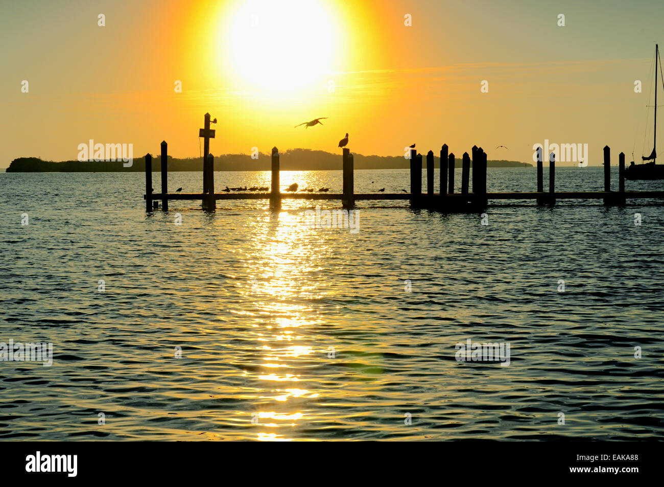 Longboat Key, Florida, USA. November 2014. Sonnenaufgangsszenen über den Longboat Pass von Moores Crab Restaurant Bootsanlegestelle. Ein glorreicher, warmer 72-F-Start in den Tag mit Stürmen aus dem Nordwesten, die später am Tag einer Kaltfront vorausgehen Stockfoto