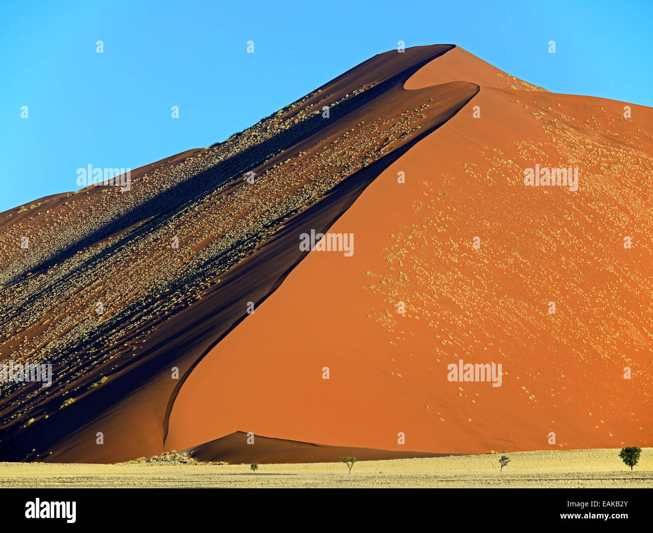 Riesige Sanddüne im Abendlicht, Namib Wüste, Sossusvlei, Namib Naukluft Park, Namibia Stockfoto